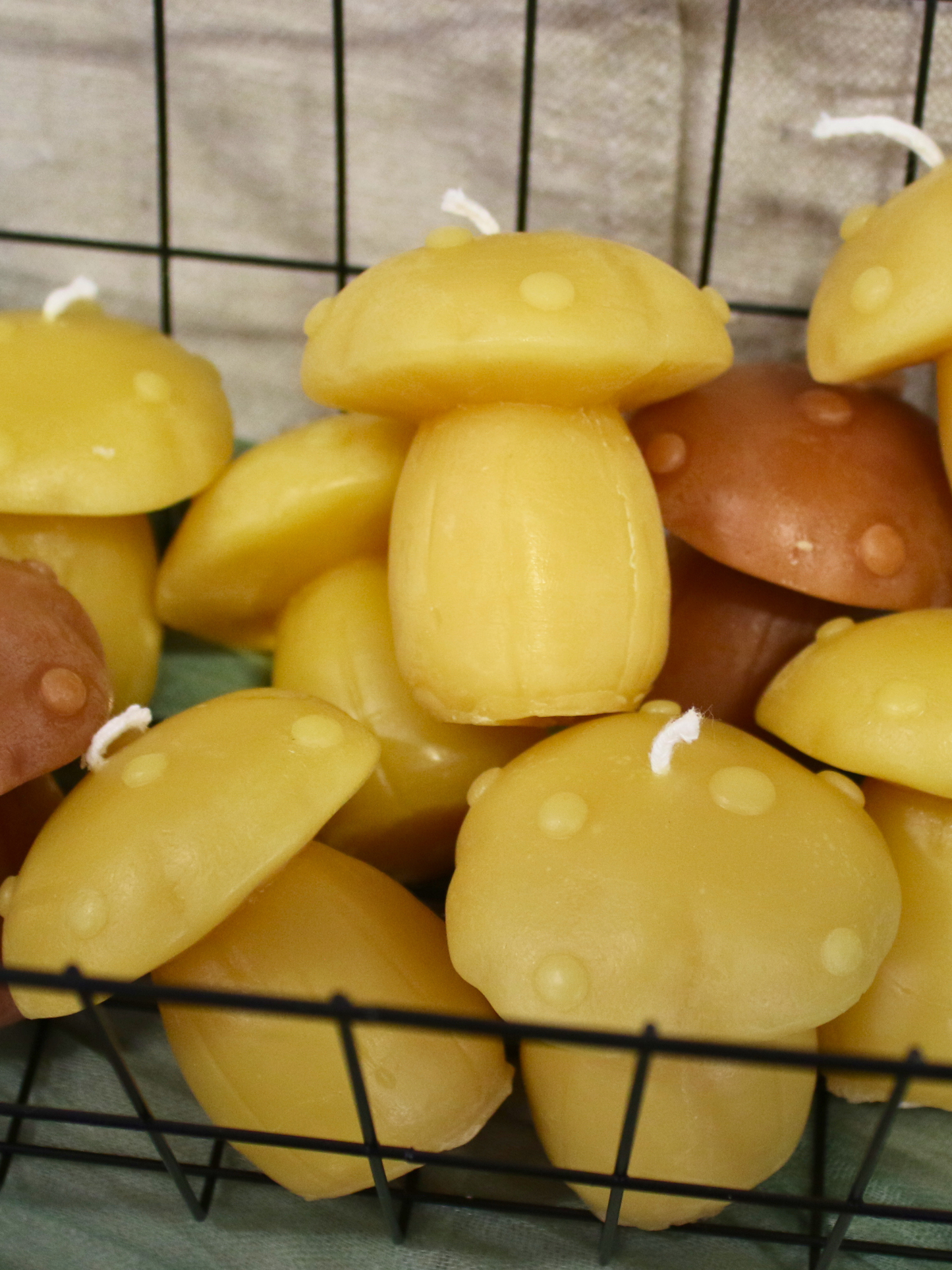 Toadstool Beeswax Candle