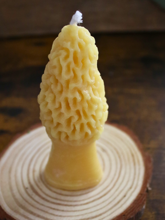 Morel Beeswax Candle
