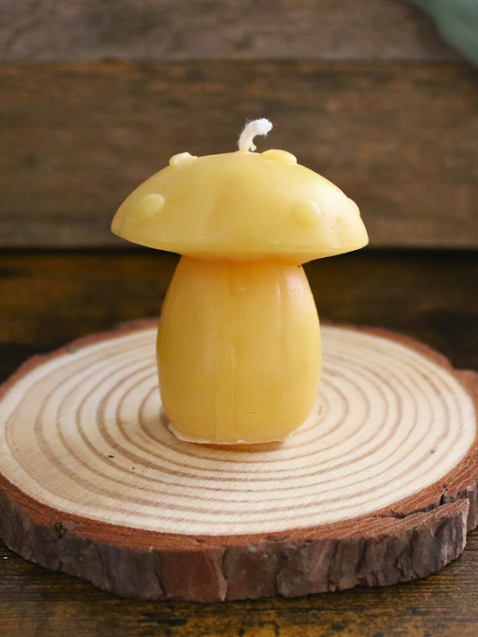 Toadstool Beeswax Candle