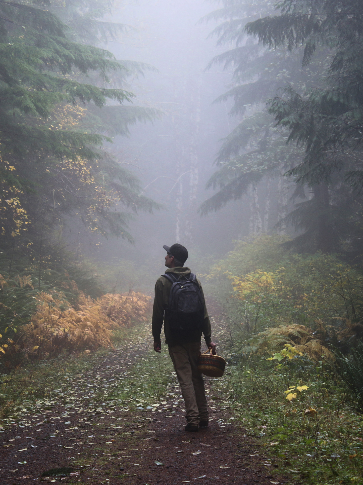 Walk In The Woods