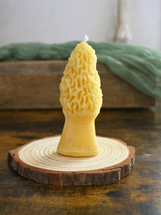 Morel Beeswax Candle